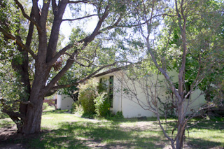 Frontyard (2004-11-24)