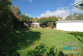 Back Garden (2010-04-08)