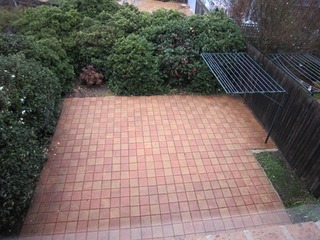 Backyard (2015-12-21)