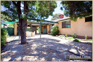 Paved Area (2010-12-23)
