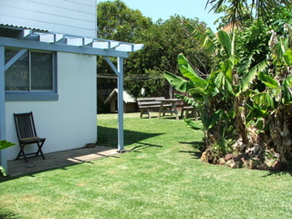 Backyard (2007-01-11)