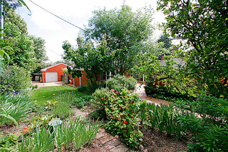 Garden (2007-12-06)