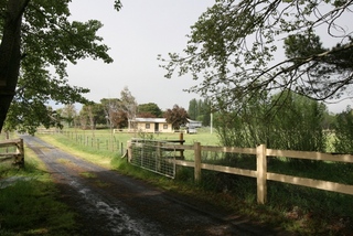 Driveway (2010-10-13)