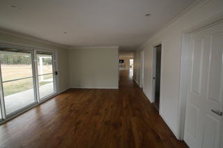 Standard Photo (2011-09-12)