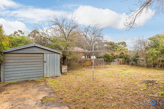 Back Garden (2015-08-25)