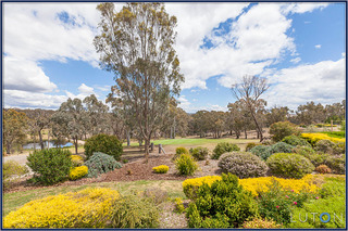 Golf course (2013-11-18)