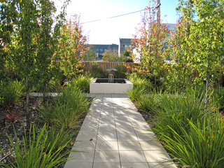 rear courtyard (2007-05-24)