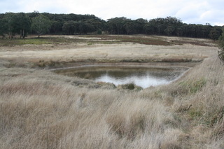 Standard Photo (2011-09-12)