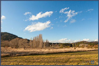 View Over Paddock (2012-08-07)