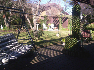 Backyard (2005-07-21)