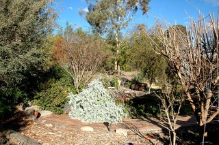 Garden Section (2005-07-24)