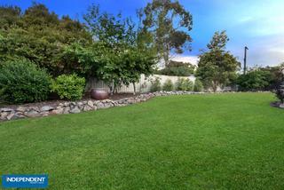 Back garden (2015-11-18)