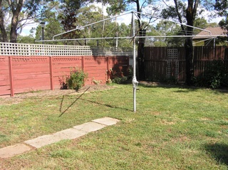 Backyard (2013-03-28)