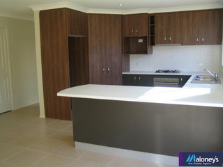 Kitchen (2005-11-23)