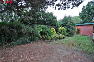 Garden (2011-04-21)