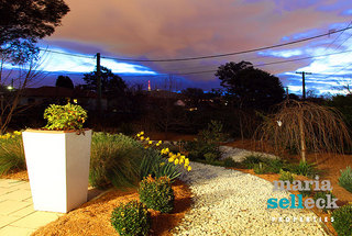 Garden (2010-08-27)