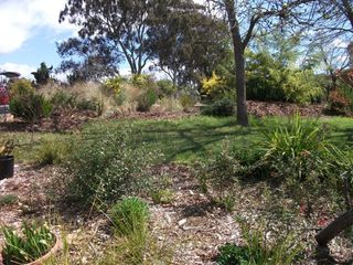 Frontyard (2012-11-13)