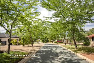 Leaf lined street (2017-02-06)