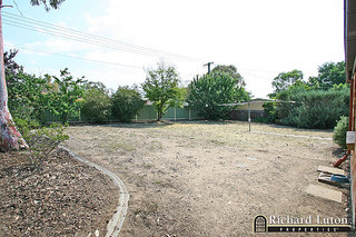 Backyard (2006-12-06)