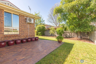 Back Garden (2016-11-03)