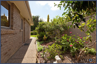 Side Garden (2012-02-17)