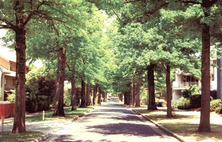 Street View (2006-08-30)