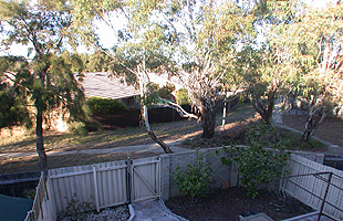 View (2006-05-17)