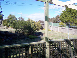 Backyard (2006-12-18)