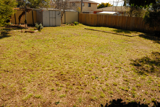 Backyard (2006-09-14)