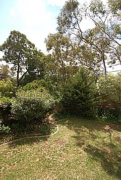Rear garden (2004-03-11)