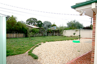 Backyard (2008-02-13)