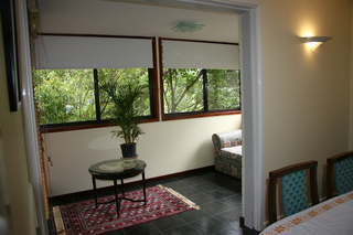 Sun room (2009-10-29)