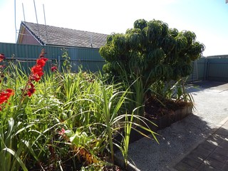 (2016-04-06)