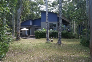 Backyard (2011-02-08)
