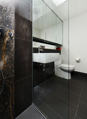 Bathroom (2012-01-06)
