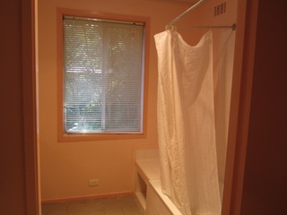 Bathroom (2011-12-09)