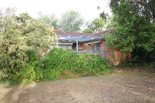 Standard Photo (2012-11-28)