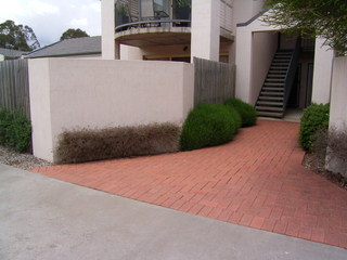 Main (2005-11-08)