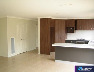 Kitchen (2005-11-23)