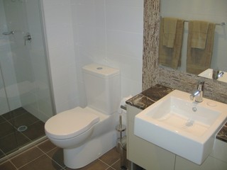 Bathroom (2010-03-12)