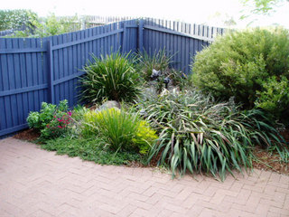 Garden (2006-11-11)