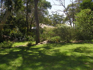 Yard (2007-03-29)