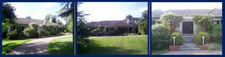 Front yard (2001-05-22)