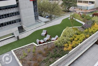 Complex Rooftop Gardens (2013-11-29)