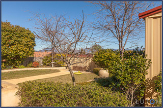 Backyard (2013-08-16)