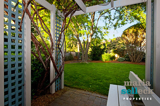 Backyard (2014-11-04)