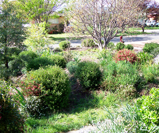 Front garden (2005-10-12)