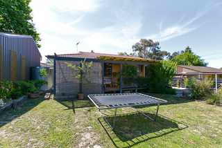 Backyard (2012-11-15)