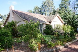 Standard Photo (2011-11-08)