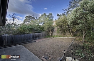 Backyard (2010-08-09)